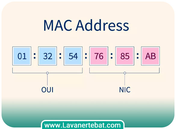 IP & MAC Address