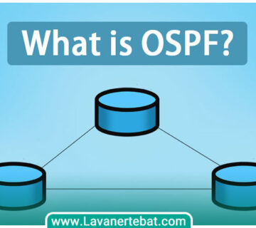 پروتکل OSPF چیست؟